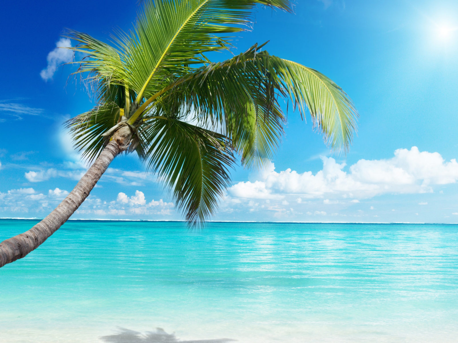 The Beach Amazing Nature Wallpaper Photos – HD Wallpapers Backgrounds Desktop, iphone & Android Free Download